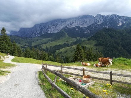 Vorschaubild 8 vom Album Musi-Ausflug nach Schwoich in Tirol