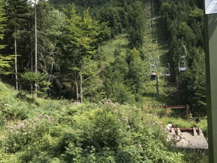 Vorschaubild 66 vom Album Musi-Ausflug nach Schwoich in Tirol